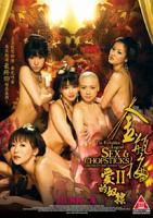 金玉梅2电视剧高清免费观看