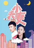夫妻免费观看完整版电视剧